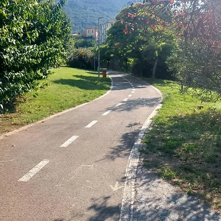 Green Central House *